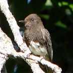 DSC04006.JPG