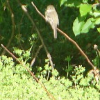 DSC05865.JPG