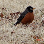 DSC00600.JPG