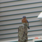 DSC01968.JPG
