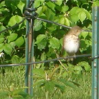 DSC05854.JPG