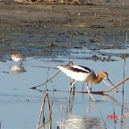 DSC00806.JPG