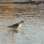 DSC04717.JPG