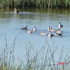 DSC01323.JPG