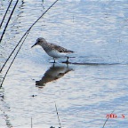 DSC01244.JPG
