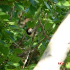 DSC01054.JPG