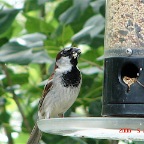 DSC01498.JPG