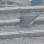 DSC00059.JPG
