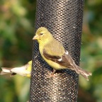 DSC05400.JPG