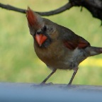 DSC05410.JPG