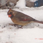 DSC00093.JPG