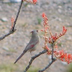 DSC03729.JPG