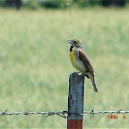 DSC01547.JPG