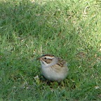 DSC04999.JPG