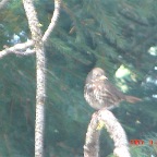DSC02390.JPG