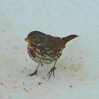 DSC07584