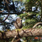 DSC02393.JPG
