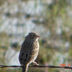 DSC02589.JPG