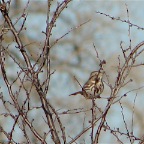 DSC03274.JPG