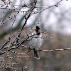 DSC04579.JPG