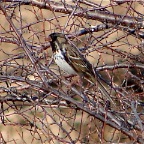 DSC05674.JPG