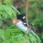 DSC05841.JPG