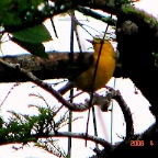 DSC00904.JPG