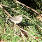DSC02323.JPG
